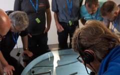 Öffentliche Führungen